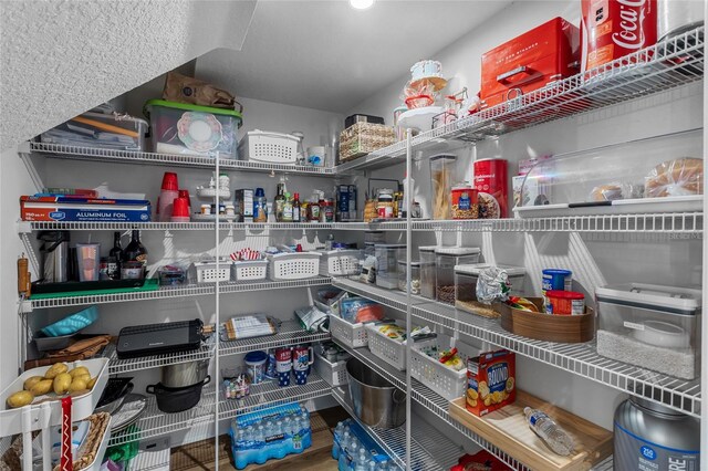 3252 Jackson Bluff Way, Clermont, FL 34711 - view of storage area