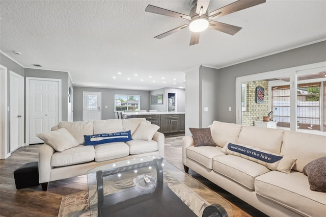 27805 Lois Dr, Tavares, FL 32778 - living area featuring wood finished floors, healthy amount of natural light, ornamental molding, ceiling fan, and recessed lighting