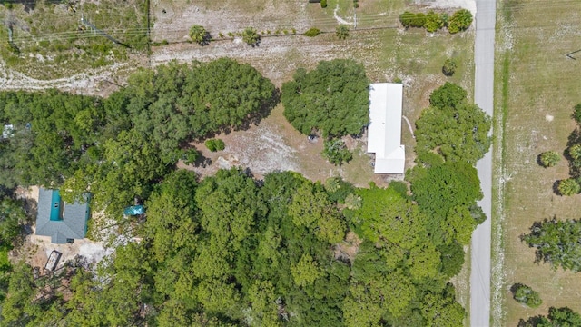 67 Cove Rd, Inglis, FL 34449 - photo 44