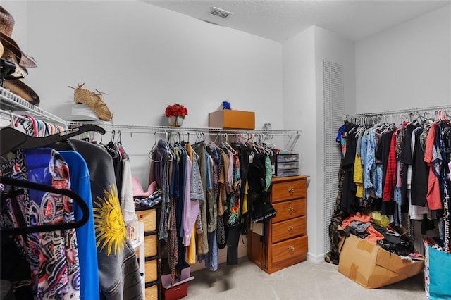 12353 Hammock Hill Dr, Clermont, FL 34711 - spacious closet with carpet