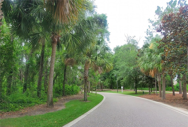 1456 Sourwood Dr, Ocoee, FL 34761 - surrounding community