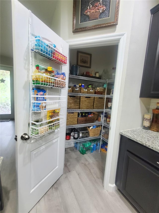 1456 Sourwood Dr, Ocoee, FL 34761 - view of pantry