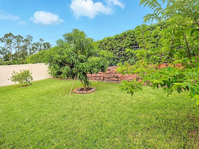 1456 Sourwood Dr, Ocoee, FL 34761 - view of yard