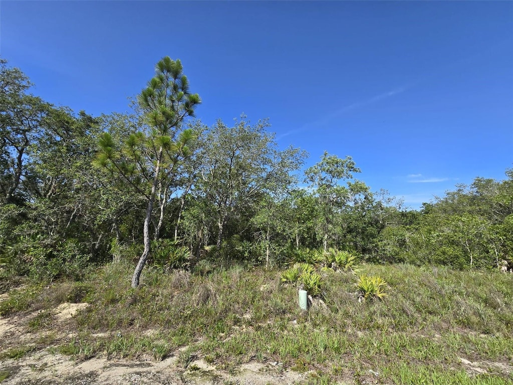 112 Tench Dr, Kissimmee, FL 34759 - photo 1