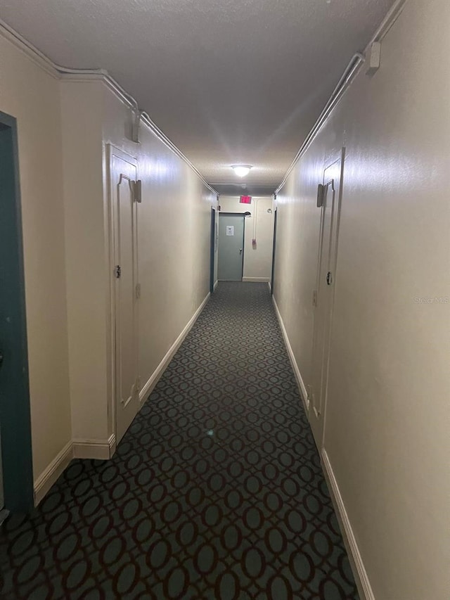 6831 SW 147th Ave Unit 3H, Miami, FL 33193 - hallway featuring carpet and crown molding