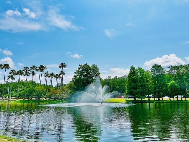 13500 Turtle Marsh Loop Unit 17, Orlando, FL 32837 - water view