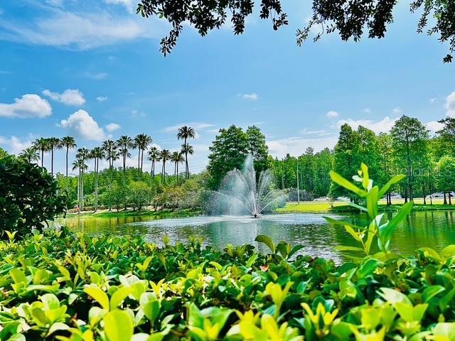 13500 Turtle Marsh Loop Unit 17, Orlando, FL 32837 - view of community featuring a water view