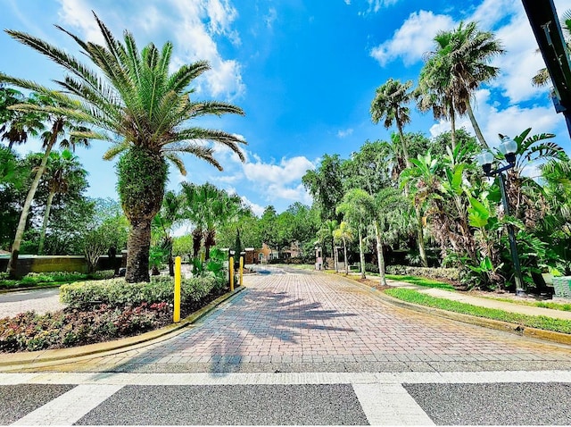 13500 Turtle Marsh Loop Unit 825, Orlando, FL 32837 - photo 5