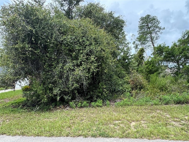 146 Loop Loop, Ocala, FL 34473 - photo 1