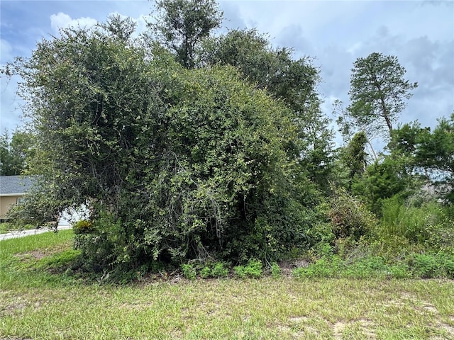 146 Loop Loop, Ocala, FL 34473 - photo 3