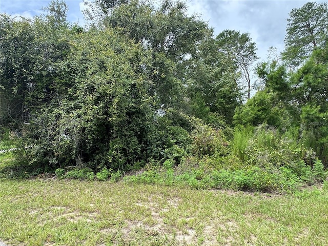 146 Loop Loop, Ocala, FL 34473 - photo 4