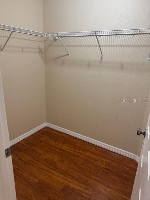 5435 Bryce Canyon Dr, Kissimmee, FL 34758 - walk in closet featuring wood finished floors