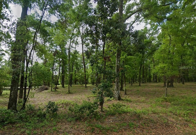 0 SW Hollingsworth St, Fort White, FL 32038