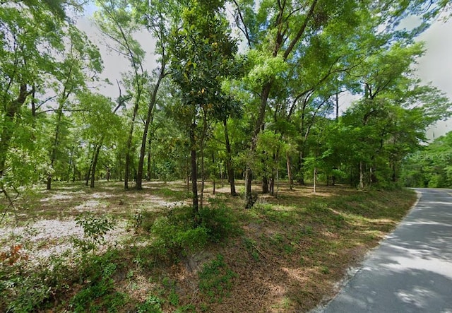0 SW Hollingsworth St, Fort White, FL 32038
