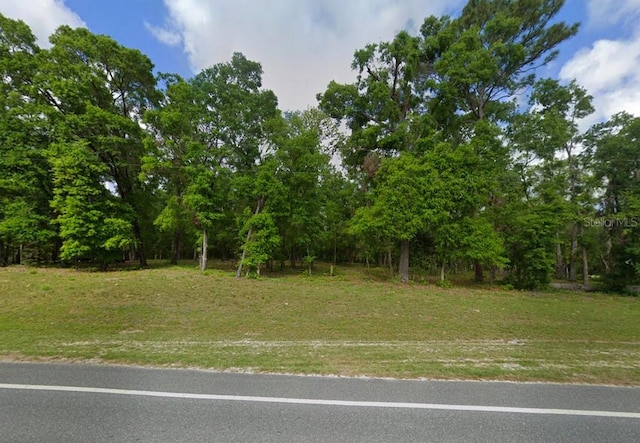 0 SW Hollingsworth St, Fort White, FL 32038