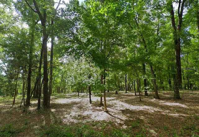 0 SW Hollingsworth St, Fort White, FL 32038