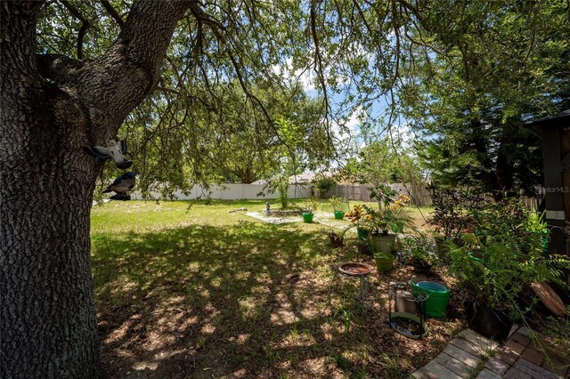 11649 Crescent Pines Blvd, Clermont, FL 34711 - view of fenced backyard