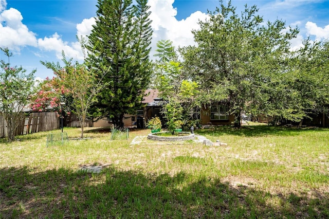 11649 Crescent Pines Blvd, Clermont, FL 34711 - view of fenced backyard