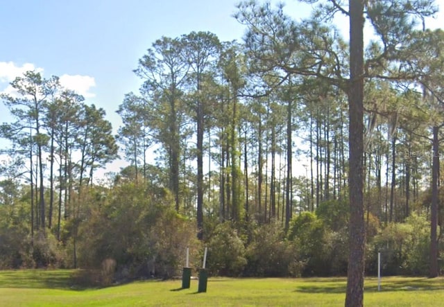 202 Tamarac Ct, Georgetown, FL 32139
