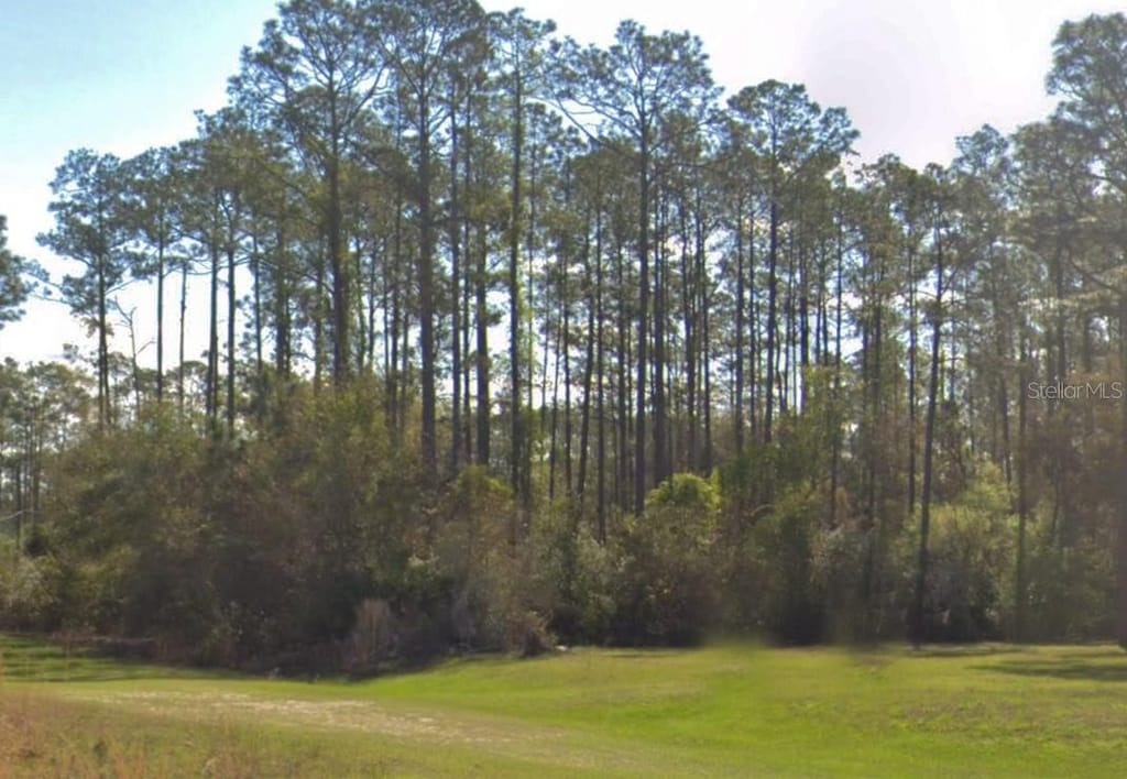 202 Tamarac Ct, Georgetown, FL 32139