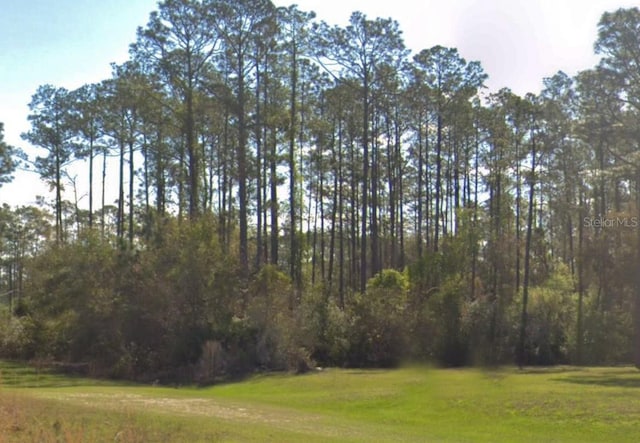 202 Tamarac Ct, Georgetown, FL 32139
