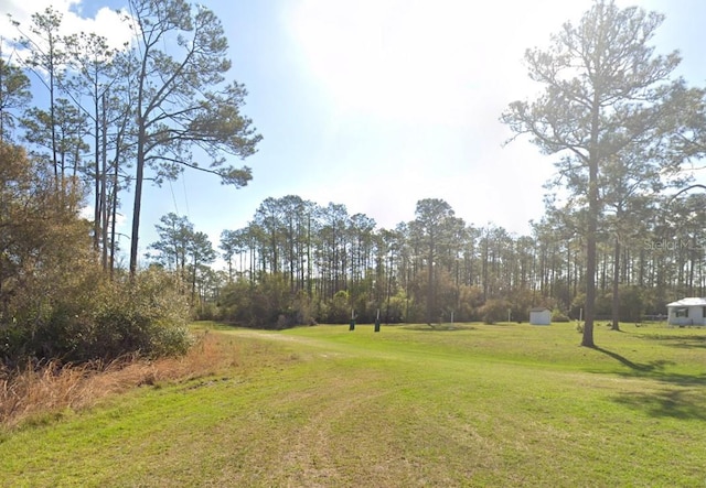 202 Tamarac Ct, Georgetown, FL 32139