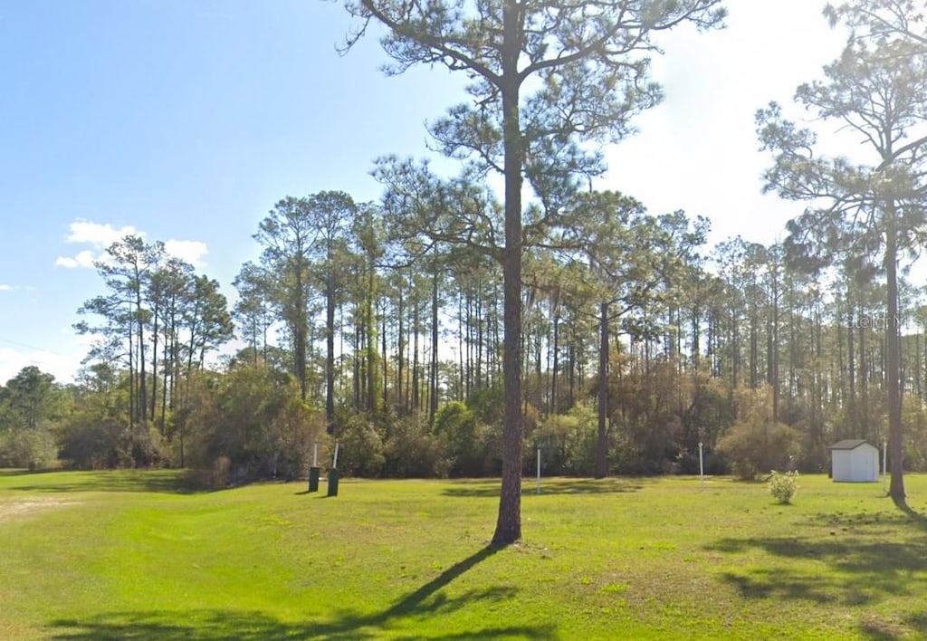 202 Tamarac Ct, Georgetown, FL 32139
