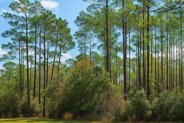 202 Tamarac Ct, Georgetown, FL 32139 - photo 2
