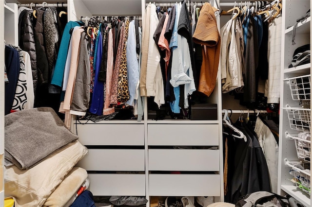 2436 Bulrush Dr, Saint Cloud, FL 34769 - view of spacious closet