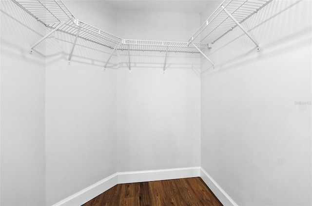 4635 Deer Run Rd, Saint Cloud, FL 34772 - walk in closet with dark wood-type flooring