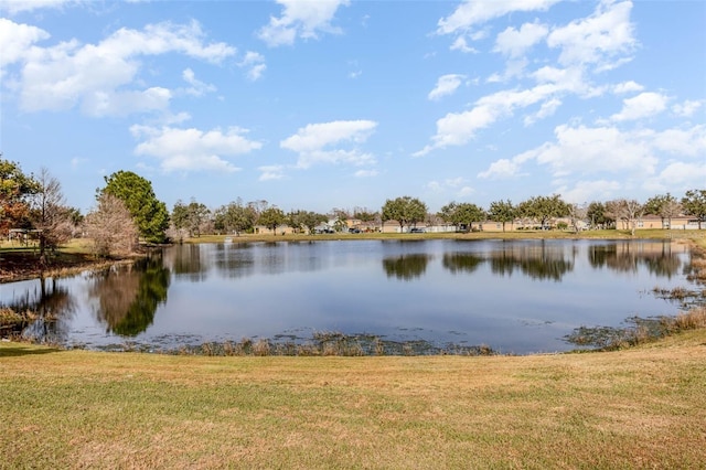4621 Yellow Bay Dr, Kissimmee, FL 34758 - photo 25