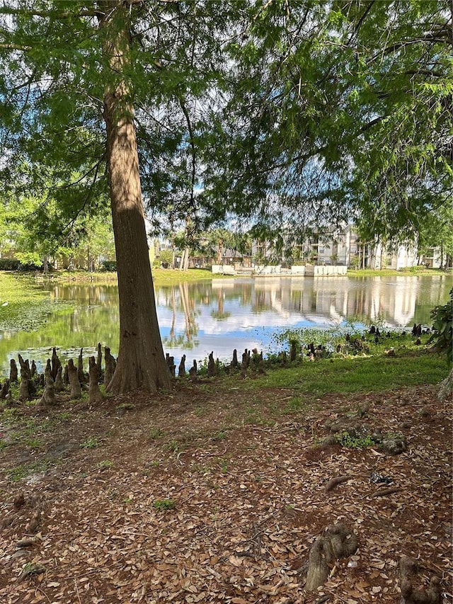 1932 Lake Atriums Cir Unit 78, Orlando, FL 32839 - water view