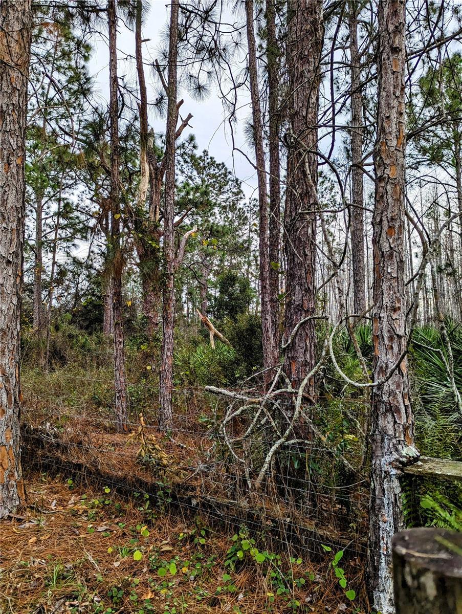 0 Sweet Hill Rd, Polk City, FL 33868