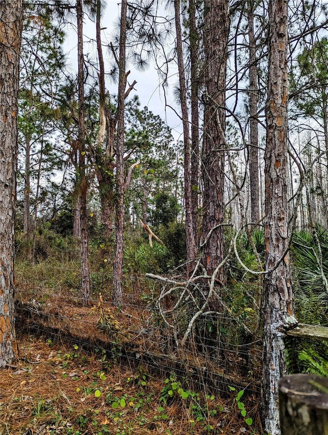 0 Sweet Hill Rd, Polk City, FL 33868