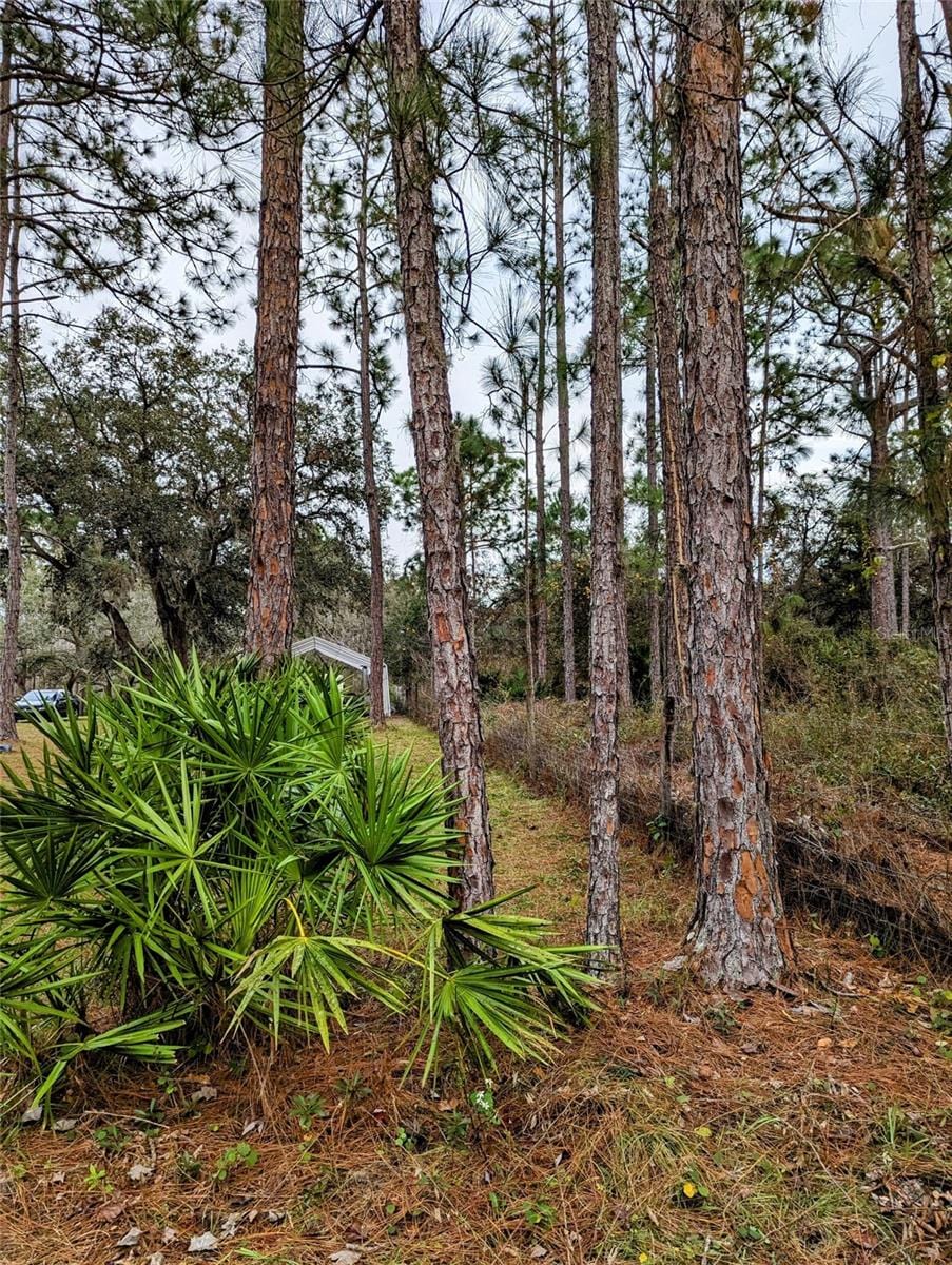 0 Sweet Hill Rd, Polk City, FL 33868