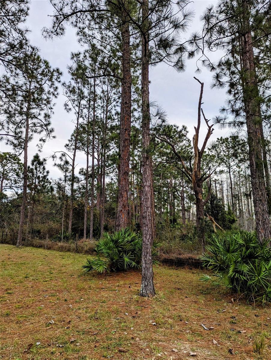 0 Sweet Hill Rd, Polk City, FL 33868