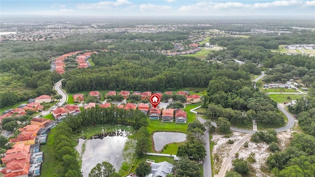 163 Tigerlily Ct, Davenport, FL 33837 - aerial view of a large body of water