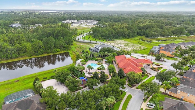 163 Tigerlily Ct, Davenport, FL 33837 - bird's eye view of a heavily wooded area and a nearby body of water