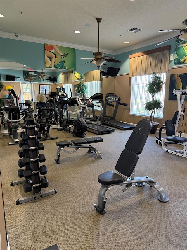 163 Tigerlily Ct, Davenport, FL 33837 - gym featuring ornamental molding and a ceiling fan