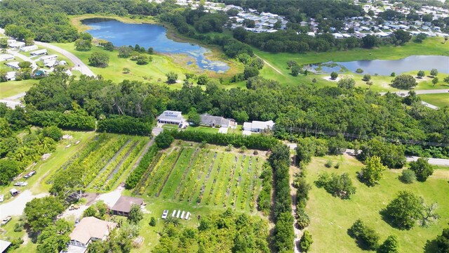 3805 Cohen Dr, Zellwood, FL 32798 - photo 3