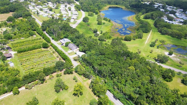 3805 Cohen Dr, Zellwood, FL 32798 - photo 4