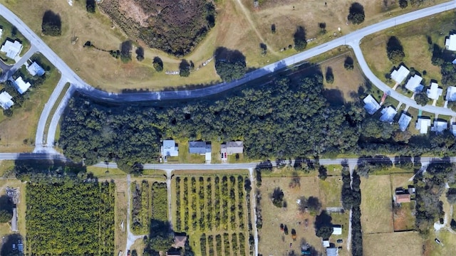3805 Cohen Dr, Zellwood, FL 32798 - photo 7