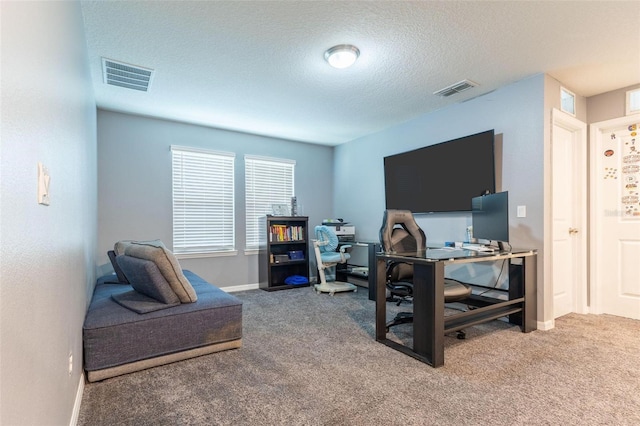 9878 Aurea Moss Ln, Orlando, FL 32832 - office area featuring carpet floors and a textured ceiling