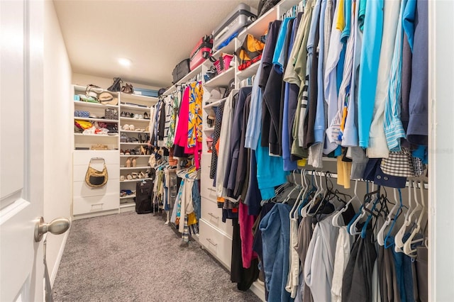 9878 Aurea Moss Ln, Orlando, FL 32832 - spacious closet with carpet