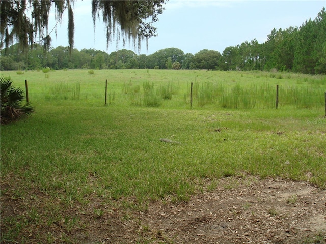 301 Sierra Way, Davenport, FL 33837 - view of yard