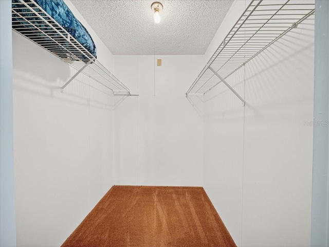 1634 SW 35th Cir, Okeechobee, FL 34974 - photo 22