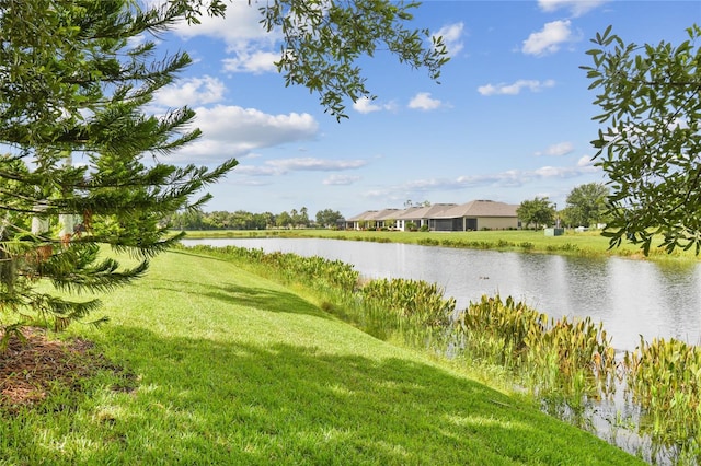 521 Milano Rd, Kissimmee, FL 34759 - water view