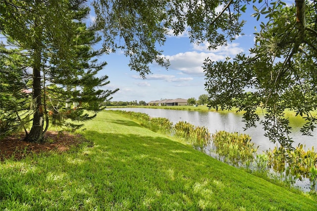 521 Milano Rd, Kissimmee, FL 34759 - water view