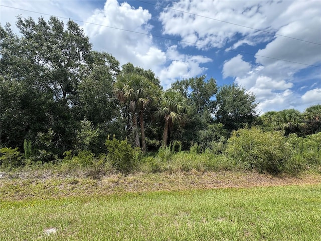 19575 NW 266th St, Okeechobee, FL 34972 - photo 1