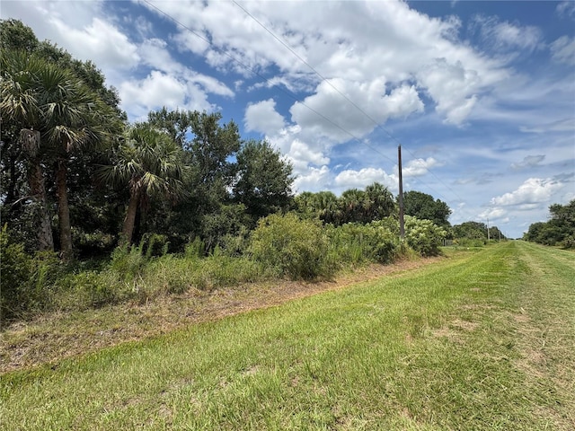 19575 NW 266th St, Okeechobee, FL 34972 - photo 3